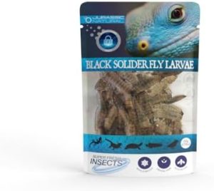 Essen | Jurassic Naturale Schwarze Soldatenfliegenlarven Einzelpackung 20g