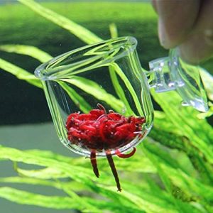 Automatische Futterspender | Ailindany Glas-Aquarium-Fütterungskegel Becher für lebende Salzwassergarnelen und rote Würmer – Fischfütterer für das Aquarium mit Saugnäpfen