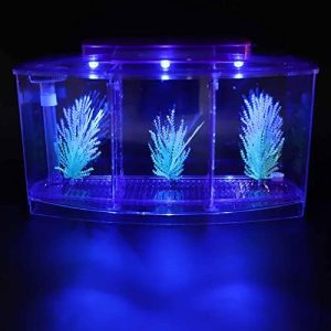 Zuchtbecken | Aquarienfisch LED-Licht, kinderfreundlich, kleine Fische, drei Abteilungen, Zuchtisolierung, Mini-Aquarium Komplettset, LED-Acrylbox für Betta und kleine Fische.