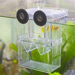 Zuchtbecken | Aquarium Fischzuchtbox – Kunststoff Fischisolation Zuchtbox – Brutkasten für Babyfische, Garnelen, Clownfische und Guppys