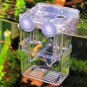 Zuchtbecken | Fischzuchtbox, Hängende Zuchtbox für das Aquarium mit Saugnäpfen, Multifunktionale Aquarien-Fischisolationsbox, Brutkasten-Inkubator für Garnelen, Clownfische und Betta (S)