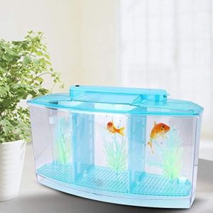 Zuchtbecken | Mini-Fischzuchtbox, Aquarium Fisch LED Acryl Drei Abteilungen Kleine Fische Isolation Inkubator Zuchtstation für Guppy, Garnelen, Clownfische und Betta (Blau)