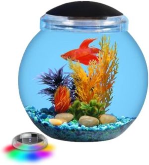 Aquarien und Fischschalen | 1-Gallonen Globe Fischtank mit LED-Beleuchtung (7 Farboptionen), schlagfestes Kunststoff