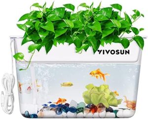 Aquarien und Fischschalen | 3-Gallonen-Aquaponik-Fischtank, Hydroponischer Reinigungstank für Süßwasserfische zur Pflanzenfütterung und Pflanzenreinigung, zusätzlicher Thermostat, Umwälzpumpe und Blähton enthalten