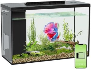 Aquarien und Fischschalen | 4,5 Gallonen Betta-Fischtank mit Selbstreinigung, Aquarium-Set, intelligentes Aquarium mit Bluetooth-Unterstützung, kleiner Fischtank mit Filter, Licht und Wasserpumpe, Fischtank-Starterkits Fischschüssel (Aquarium)