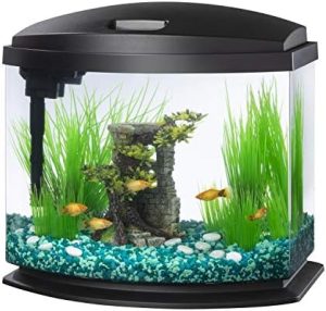 Aquarien und Fischschalen | LED Minibow Kleines Aquarium Fischtank-Set mit Smartclean-Technologie, Schwarz, 19 Liter